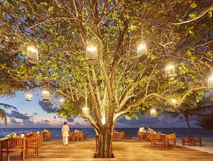  at Allegria in South Ari Atoll