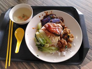 Favorites: eggplant, fish, chicken at Origanics 启点 - Vegetarian - NUS The Deck in Northeast Singapore