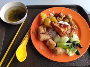 Favorites: chicken, potatoes, tofu at Origanics 启点 - Vegetarian - NUS The Deck in Northeast Singapore