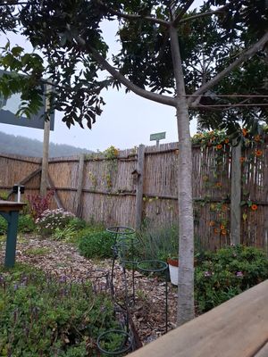 Garten at Liola Foods in Sedgefield