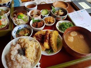 Vegan set at Hana Uta in Matsugasaki