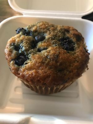 blueberry vegan muffin  at Mellow Moods Cafe in Shepherdstown