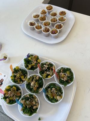 Samples   at Sundrip in Chicago