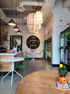 Interior view at Sundrip in Chicago