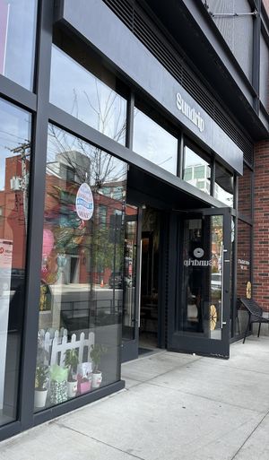   at Sundrip in Chicago