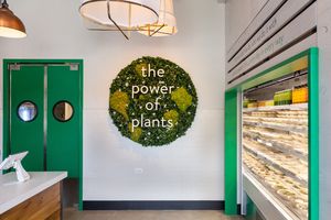 power of plants at Sundrip in Chicago