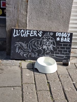 Doggy bar at Lucifer Lives in Brussels