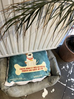   at Lucifer Lives in Brussels