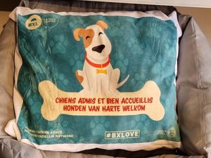 Dogs are welcome at Lucifer Lives in Brussels