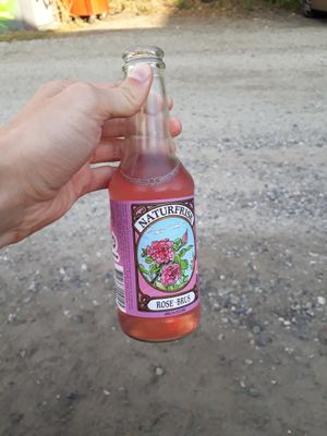 Organic rose soda at VeganDóttir in Aalborg