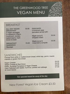 Vegan menu and there were at least two specials   at The Greenwood Tree in Lyndhurst