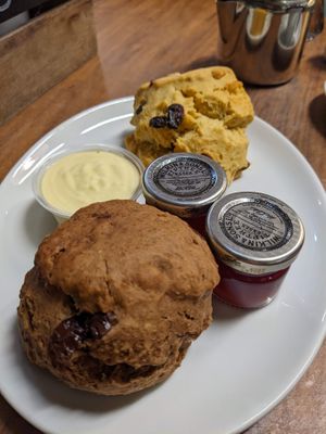 Vegan chocolate scone and fruit scone at The Greenwood Tree in Lyndhurst