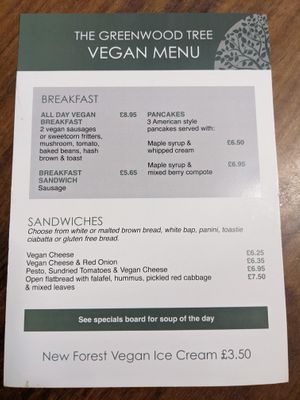 Vegan Menu at The Greenwood Tree in Lyndhurst
