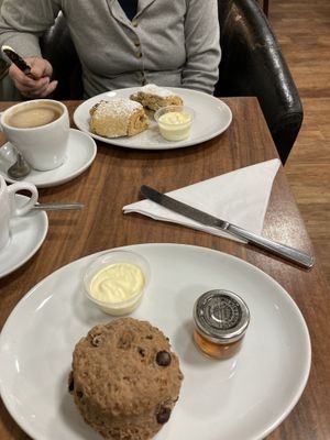 Scones and vegan clotted cream  at The Greenwood Tree in Lyndhurst