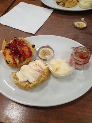 Fruit scone and flotted cream at The Greenwood Tree in Lyndhurst