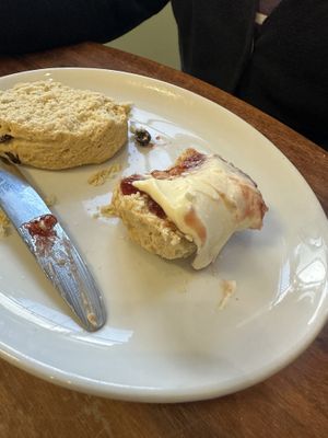   at The Greenwood Tree in Lyndhurst