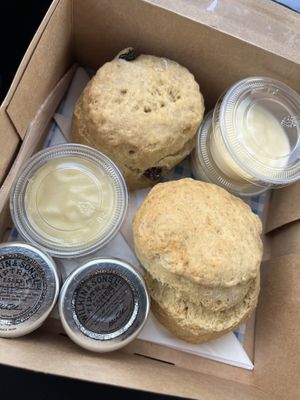   at The Greenwood Tree in Lyndhurst