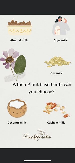 Alternative milk at SĪTÚ Coffee & Tea in Prague