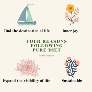 pure at SĪTÚ Coffee & Tea in Prague