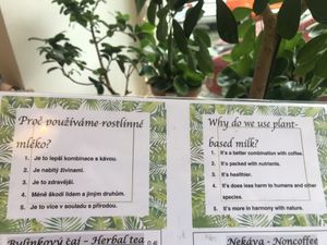   at SĪTÚ Coffee & Tea in Prague