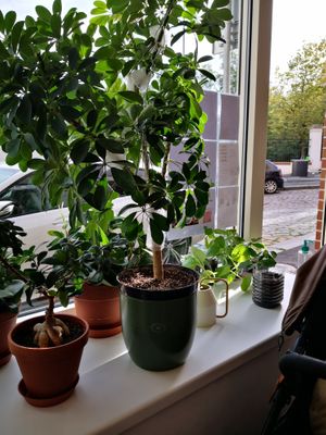  at SĪTÚ Coffee & Tea in Prague