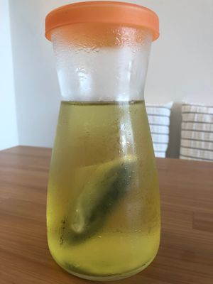 Cold Brew Tea at SĪTÚ Coffee & Tea in Prague