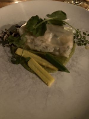 Springtouw  at Bree33 in Leiden