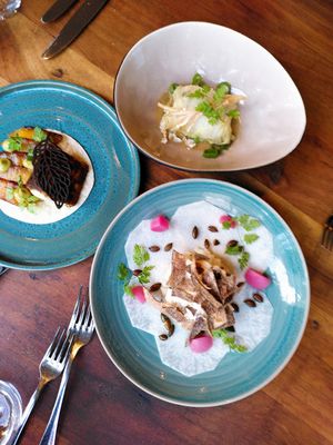 Taco, cannelloni, carpaccio at Bree33 in Leiden