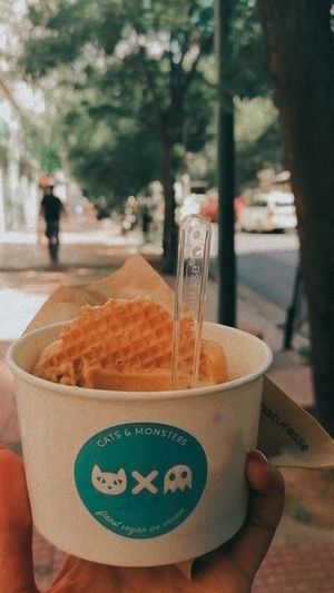 💛 at Cats & Monsters  in Athens