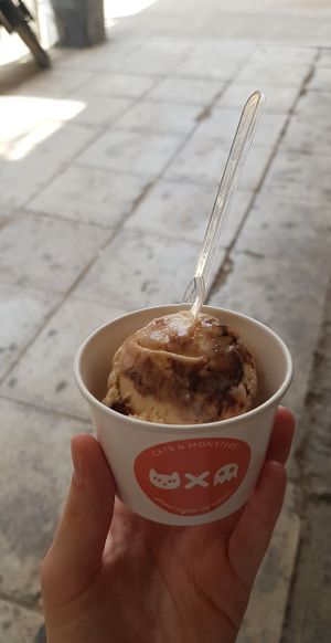 "Snickers" at Cats & Monsters  in Athens