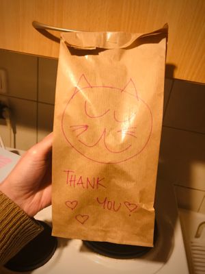 A cat drawn on the vegan ice cream cone delivery bag at Cats & Monsters  in Athens