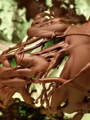 Mint chocolate at Cats & Monsters  in Athens