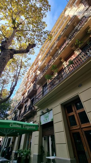 Bloque at Tulsi in Barcelona