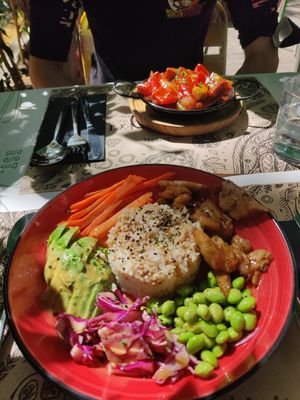 Buddha bowl, so refreshing and filling at Tulsi in Barcelona