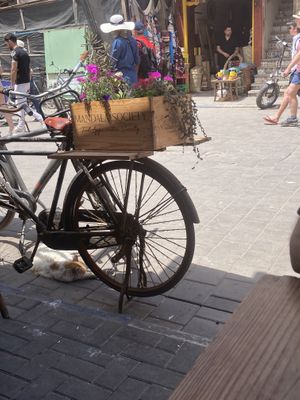   at Mandala in Essaouira