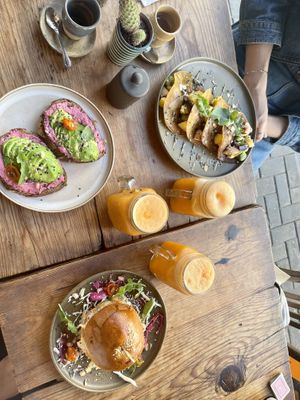   at Mandala in Essaouira