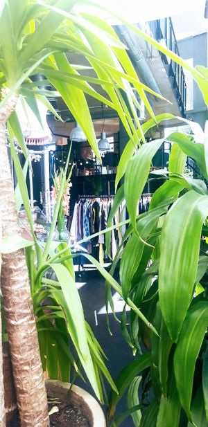 Harmony Place Cafe at Triangle Cafe and Bar in South East London