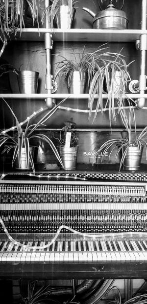 Harmony Place Cafe at Triangle Cafe and Bar in South East London