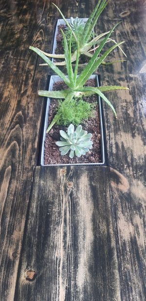 Harmony Place Cafe at Triangle Cafe and Bar in South East London