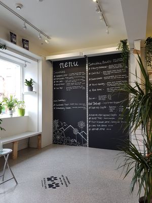 So many options at Seed and Soul in Dingle