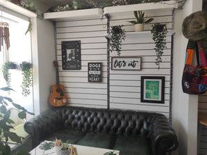 Inside at Seed and Soul in Dingle