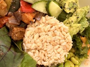   at Seed and Soul in Dingle