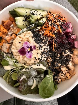   at Seed and Soul in Dingle