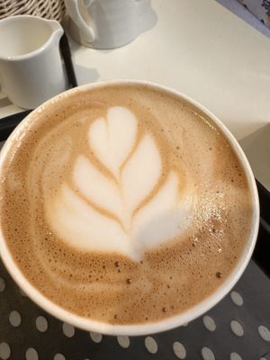   at Seed and Soul in Dingle