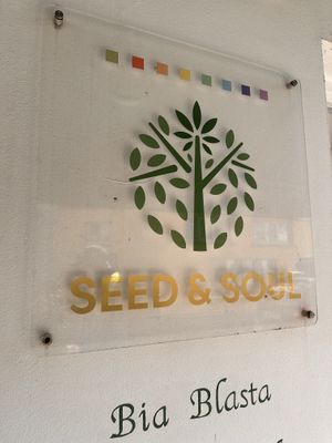   at Seed and Soul in Dingle