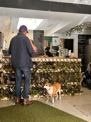   at Seed and Soul in Dingle