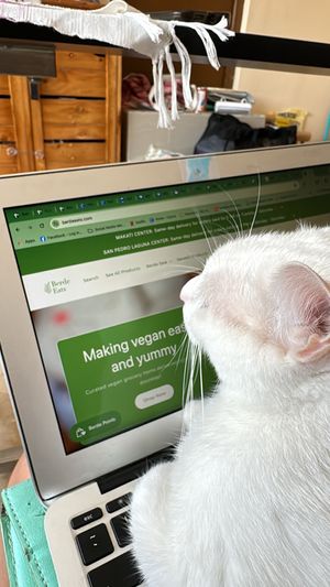   at Berde Eats in Laguna