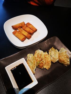 Veggie dumplings and spring rolls at Tloft in Ljubljana