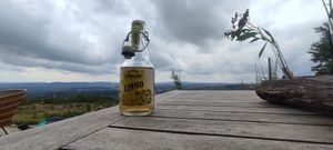 herbal lemonade and the epic view ⛰️ at Das Rodelhaus in Braunlage