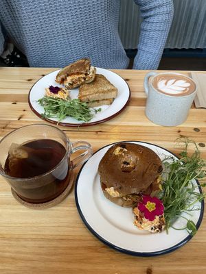   at The Hedgerow Hound in Plymouth